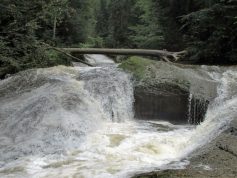 img_2011